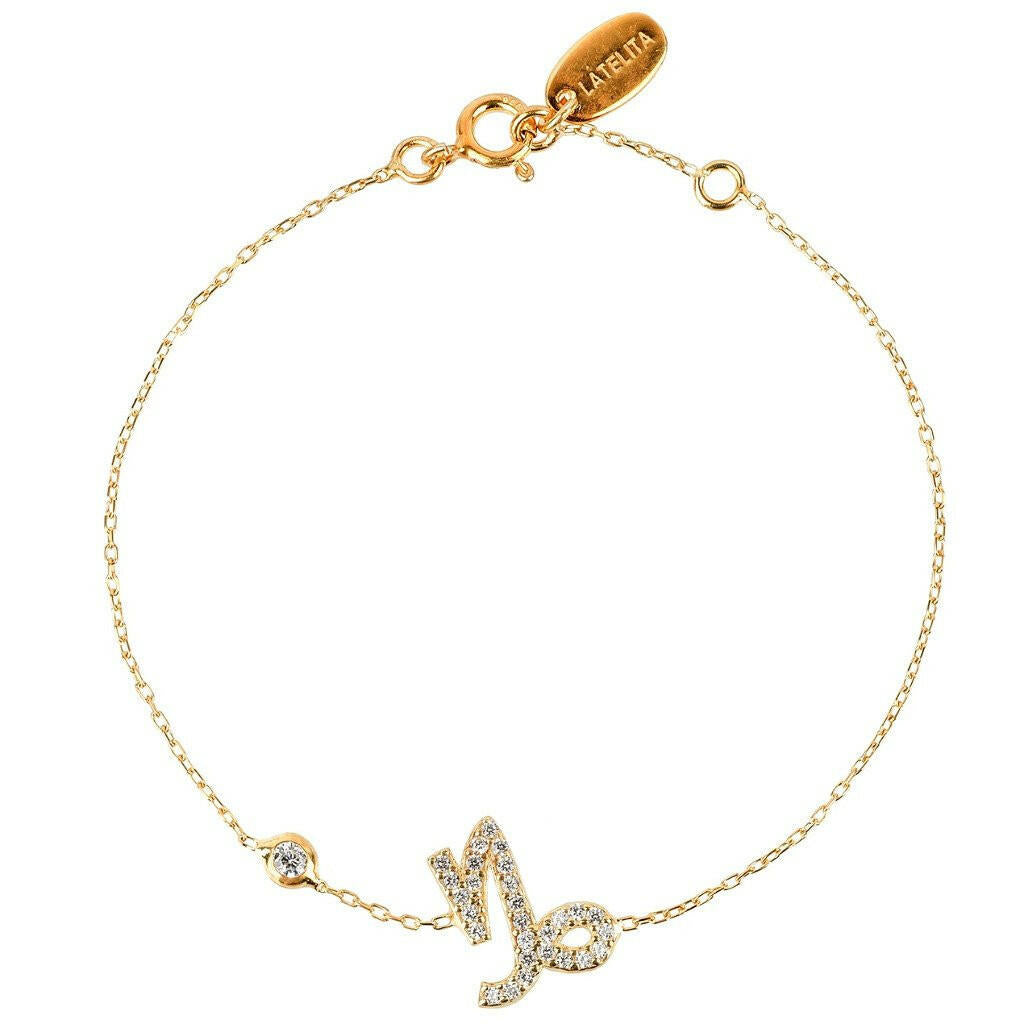 Zodiac Horoscope Star Sign Bracelet Capricorn.