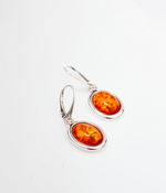Amber Serenity Earrings - Selectique 
