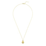 Scallop Mini Shell Necklace Gold.