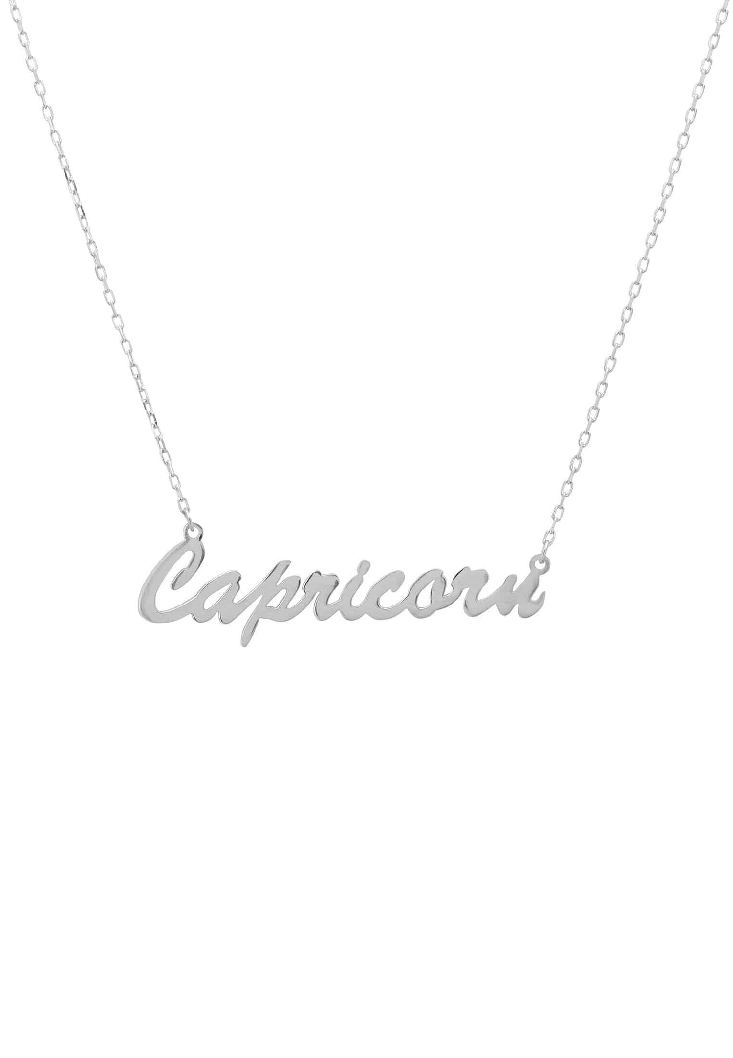 Zodiac Star Sign Name Necklace Silver Capricorn.