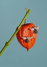 Honey Bee Stud Earrings Gold.