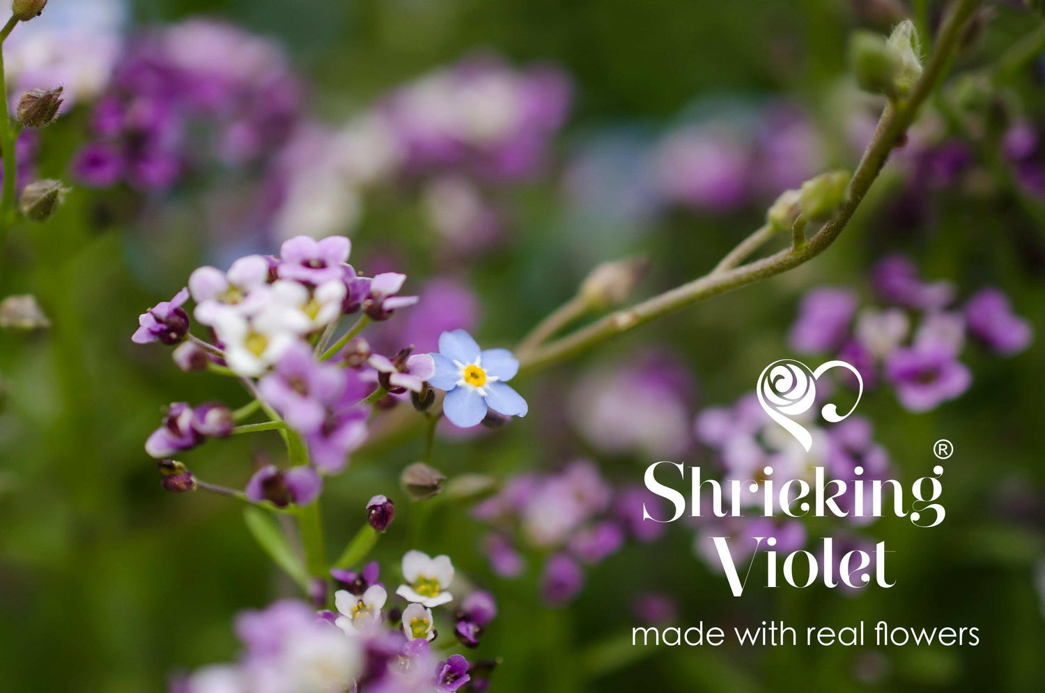 Real flower heart necklace by Shrieking Violet Sterling silver pendant.