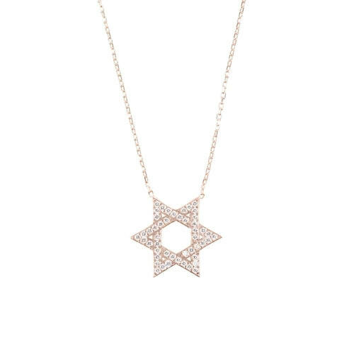 Star Of David Necklace.