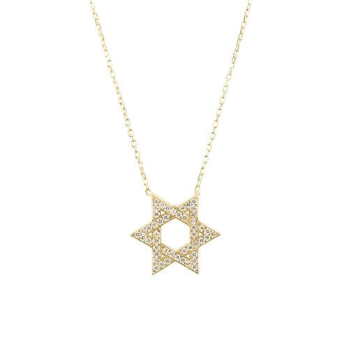 Star Of David Necklace.