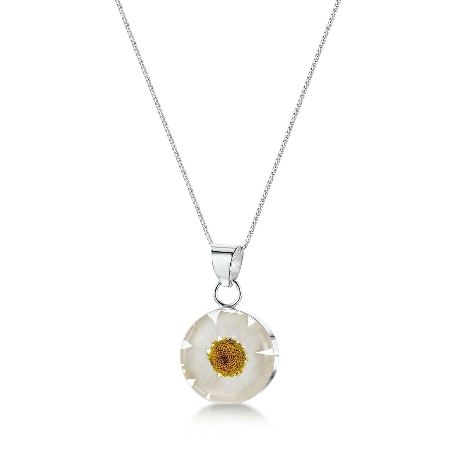 Daisy necklace by Shrieking Violet® Sterling silver & real daisy.